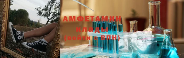 дмт Каменка