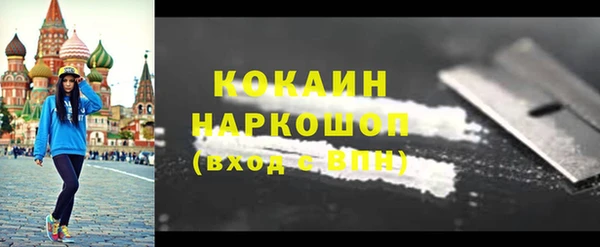 дмт Каменка