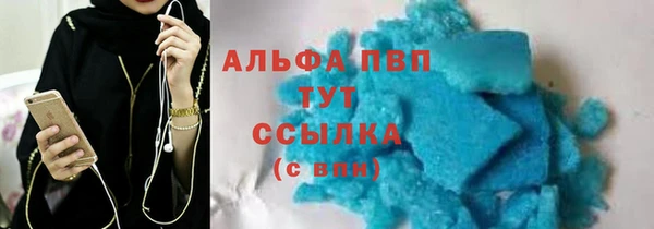 дмт Каменка