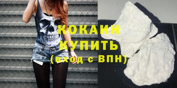 дмт Каменка