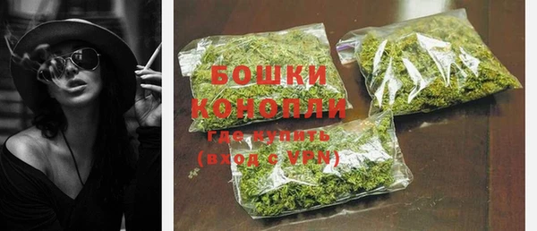 дмт Каменка