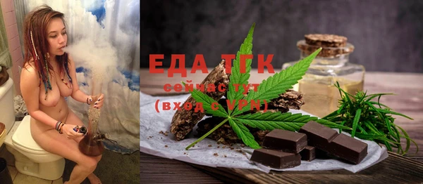 дмт Каменка