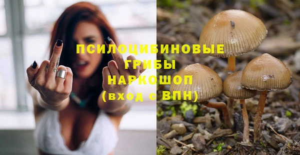 дмт Каменка