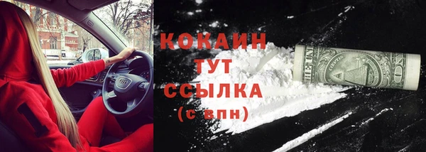 дмт Каменка