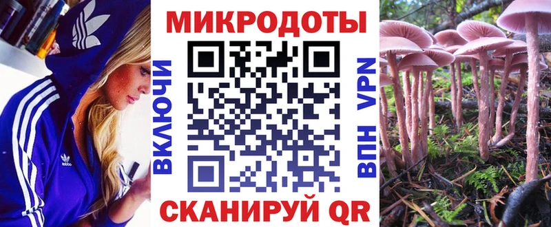 Галлюциногенные грибы Cubensis  Купить закладки  Гремячинск 