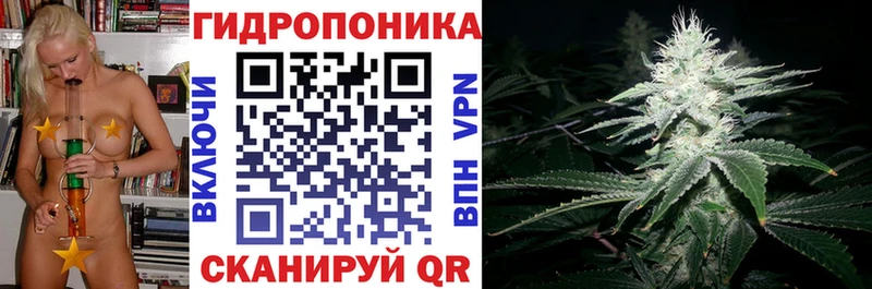 Каннабис MAZAR  Купить закладки  Гремячинск 